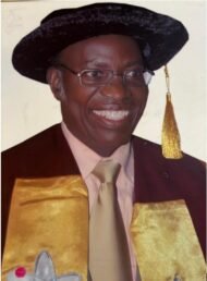 Professor Oritsegbemi Omatete